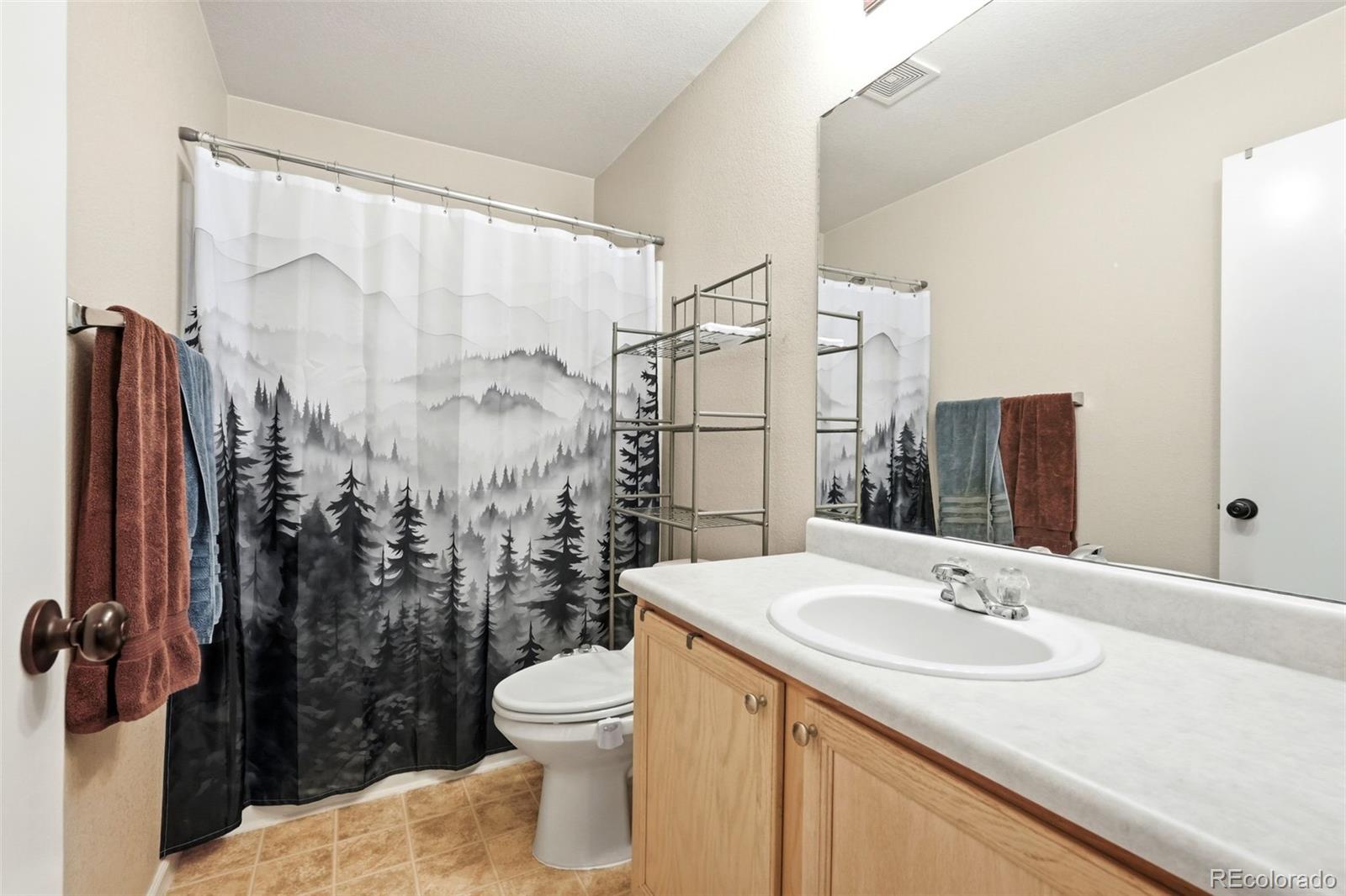 MLS Image #18 for 21611 e 54th place,denver, Colorado
