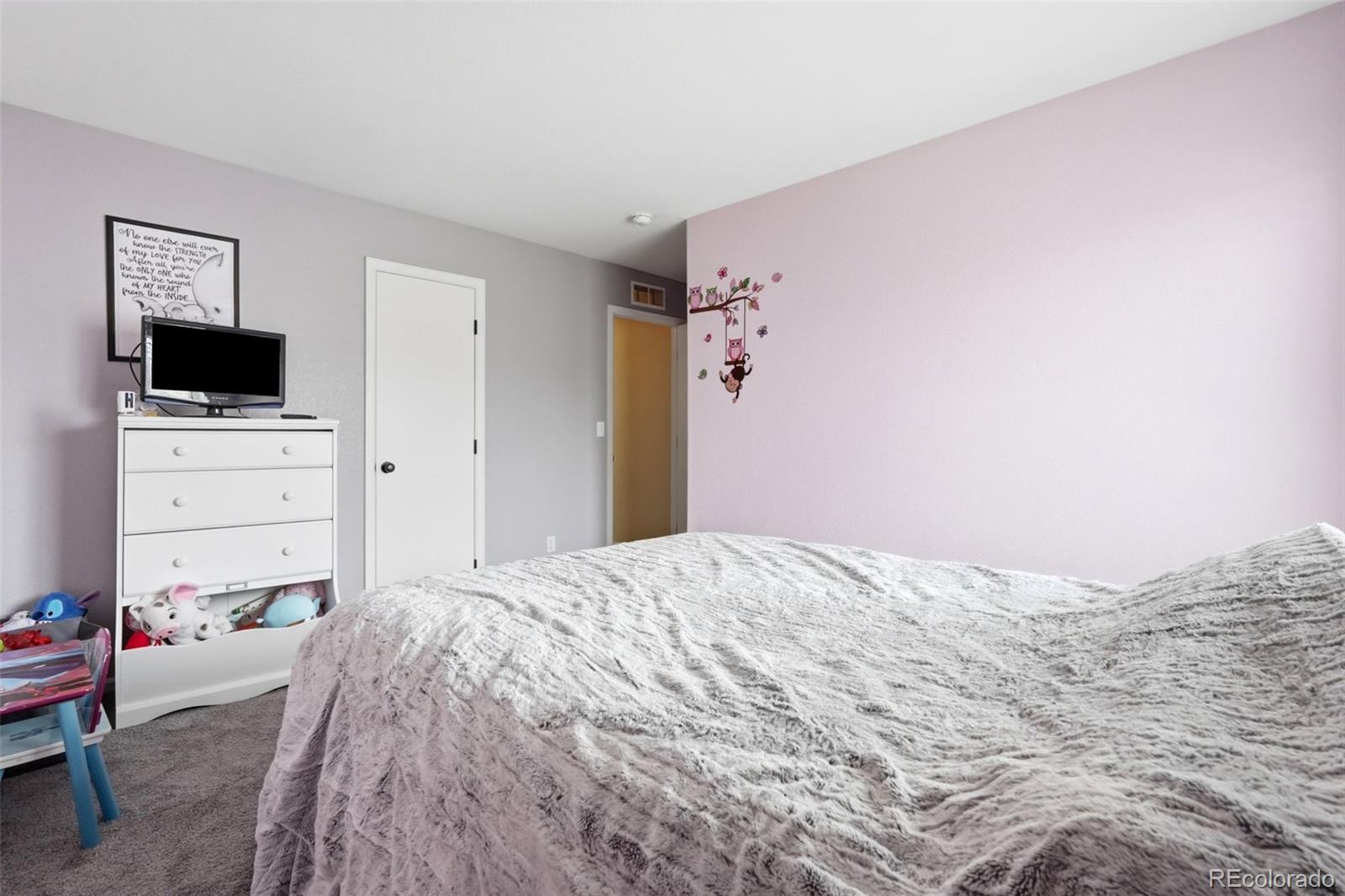 MLS Image #22 for 21611 e 54th place,denver, Colorado
