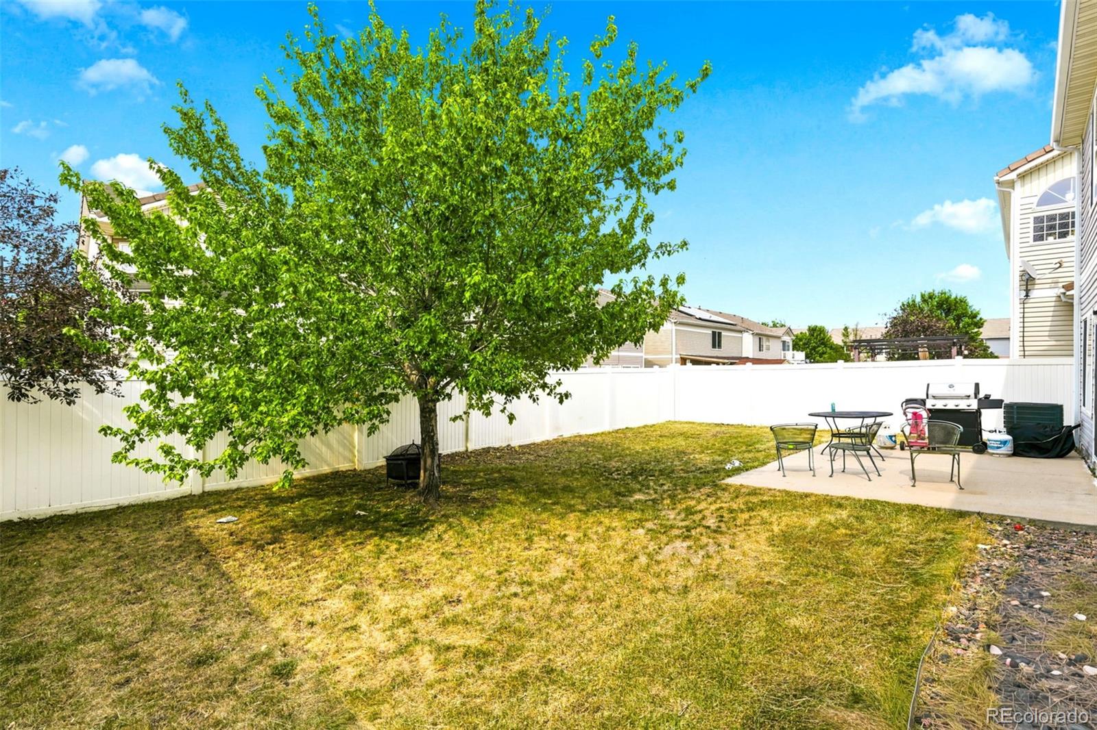 MLS Image #24 for 21611 e 54th place,denver, Colorado