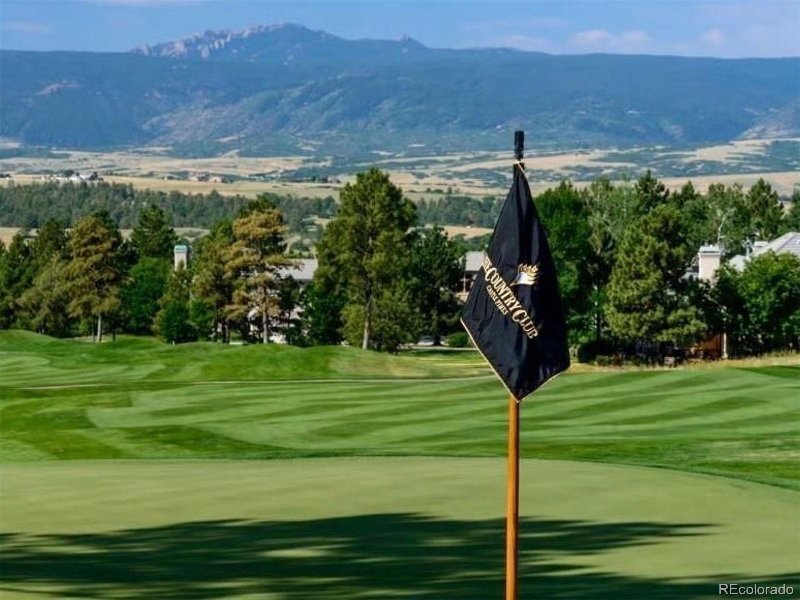 MLS Image #42 for 83  castle pines drive,castle rock, Colorado