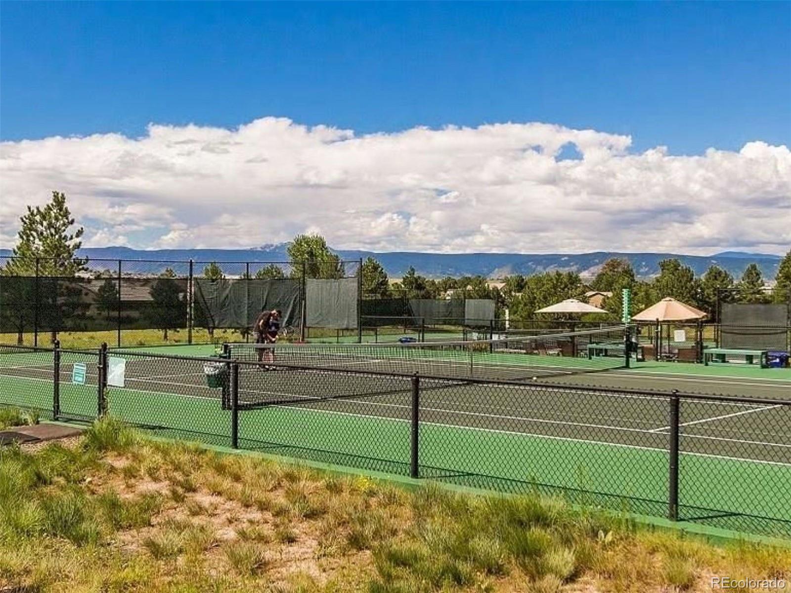 MLS Image #43 for 83  castle pines drive,castle rock, Colorado