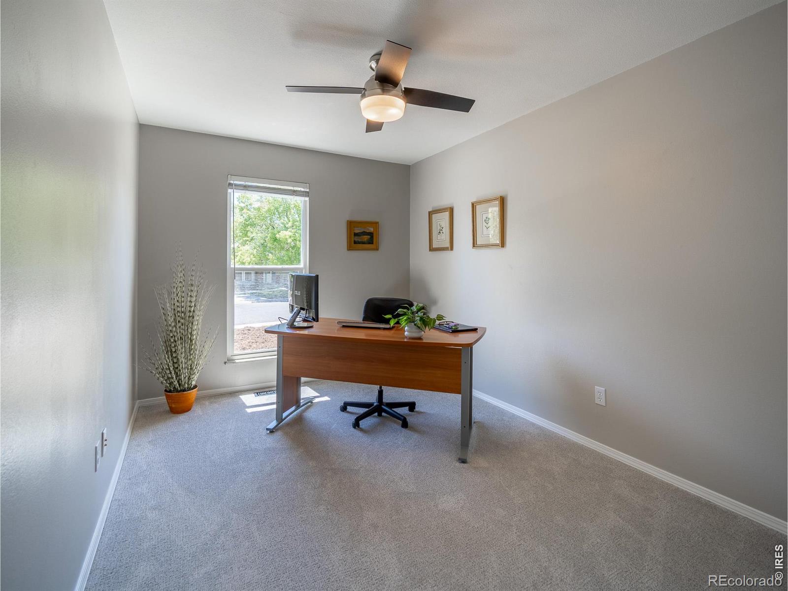 MLS Image #15 for 1101  alsace way,lafayette, Colorado