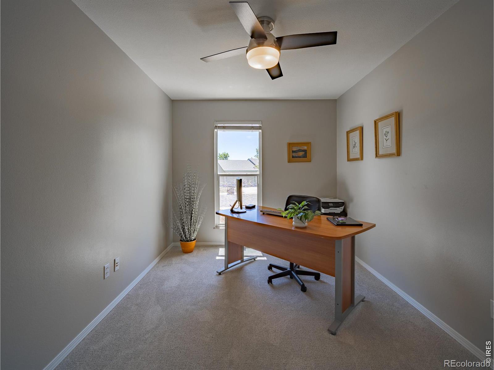 MLS Image #16 for 1101  alsace way,lafayette, Colorado