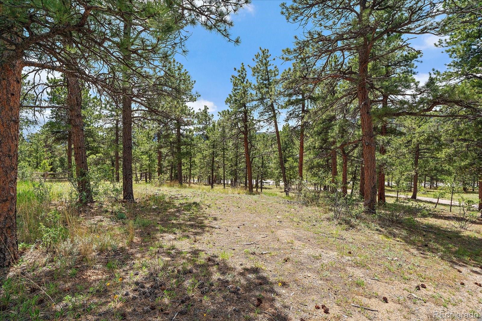 MLS Image #6 for 31721  highway 72 ,golden, Colorado