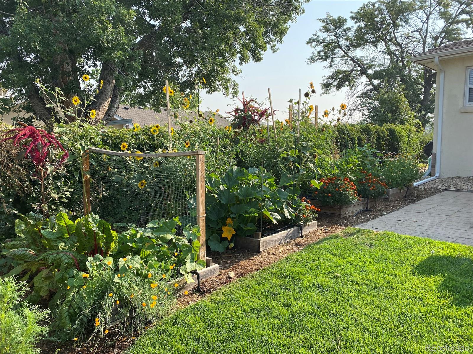 MLS Image #41 for 5305  meade street,denver, Colorado