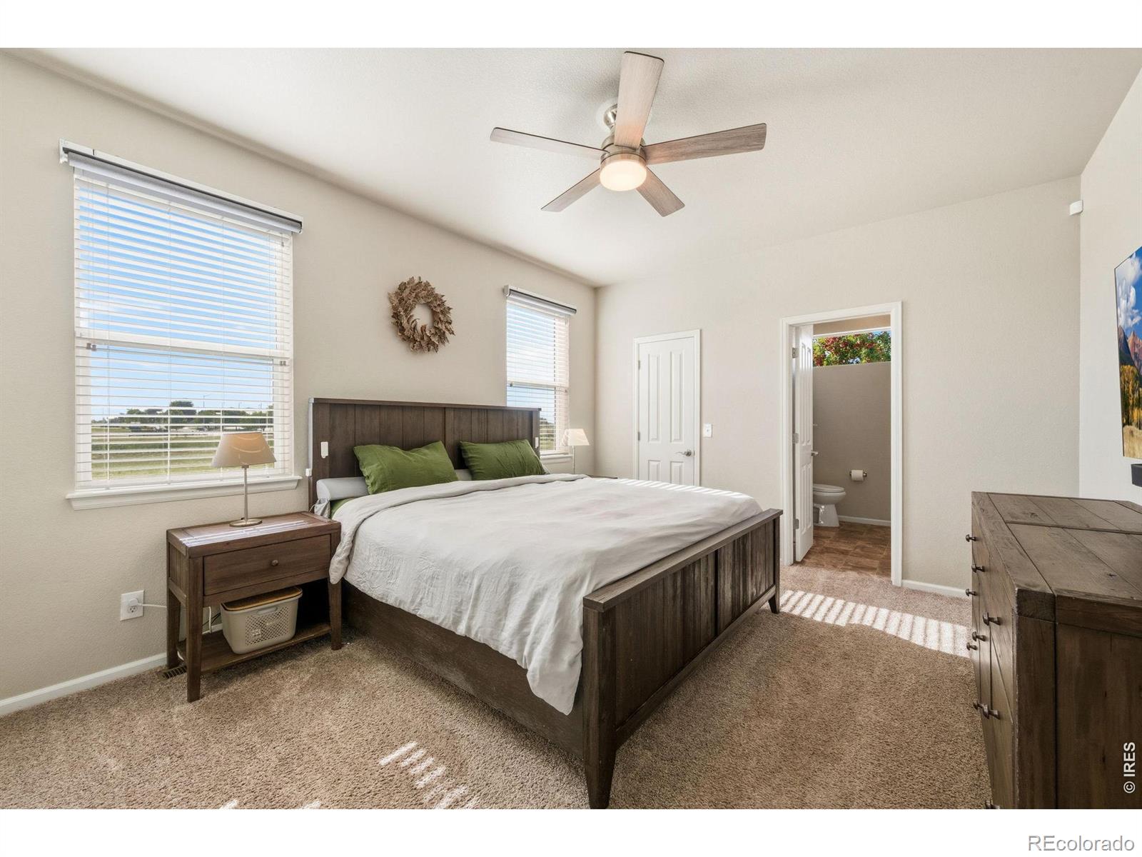MLS Image #10 for 157  naples street,firestone, Colorado