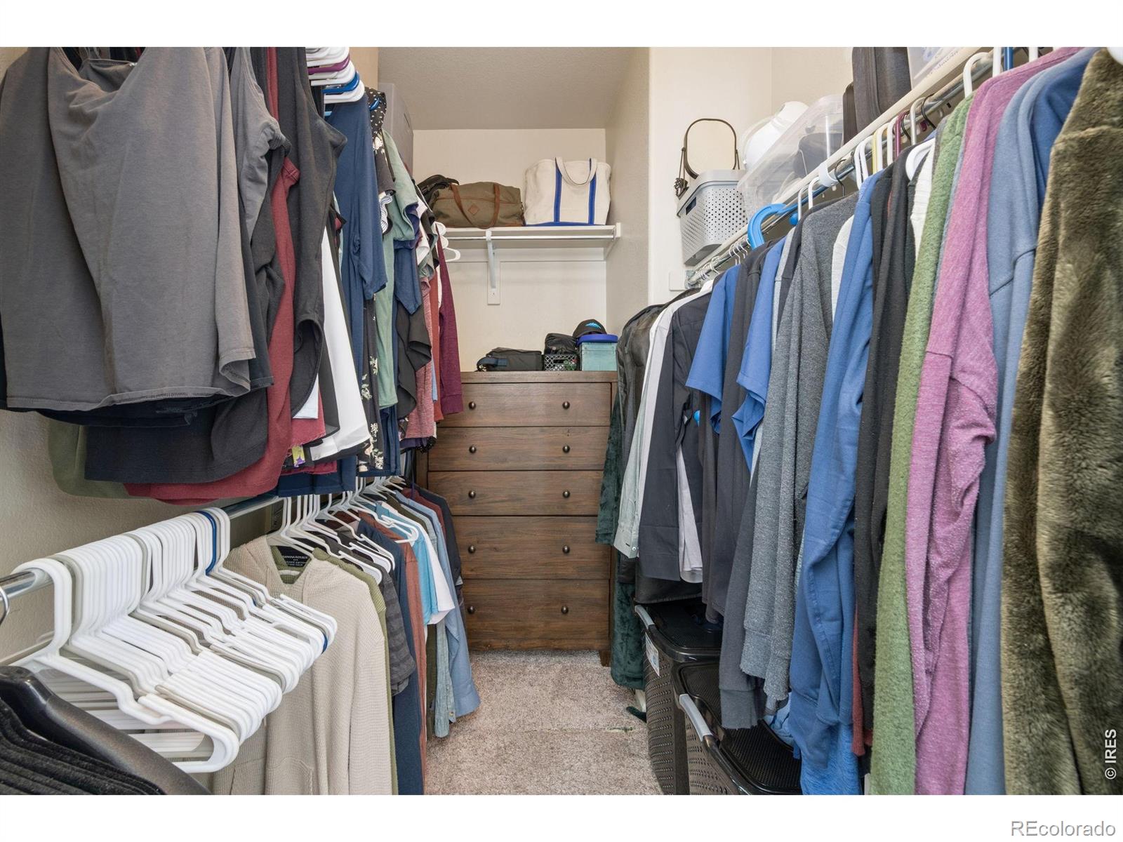 MLS Image #13 for 157  naples street,firestone, Colorado