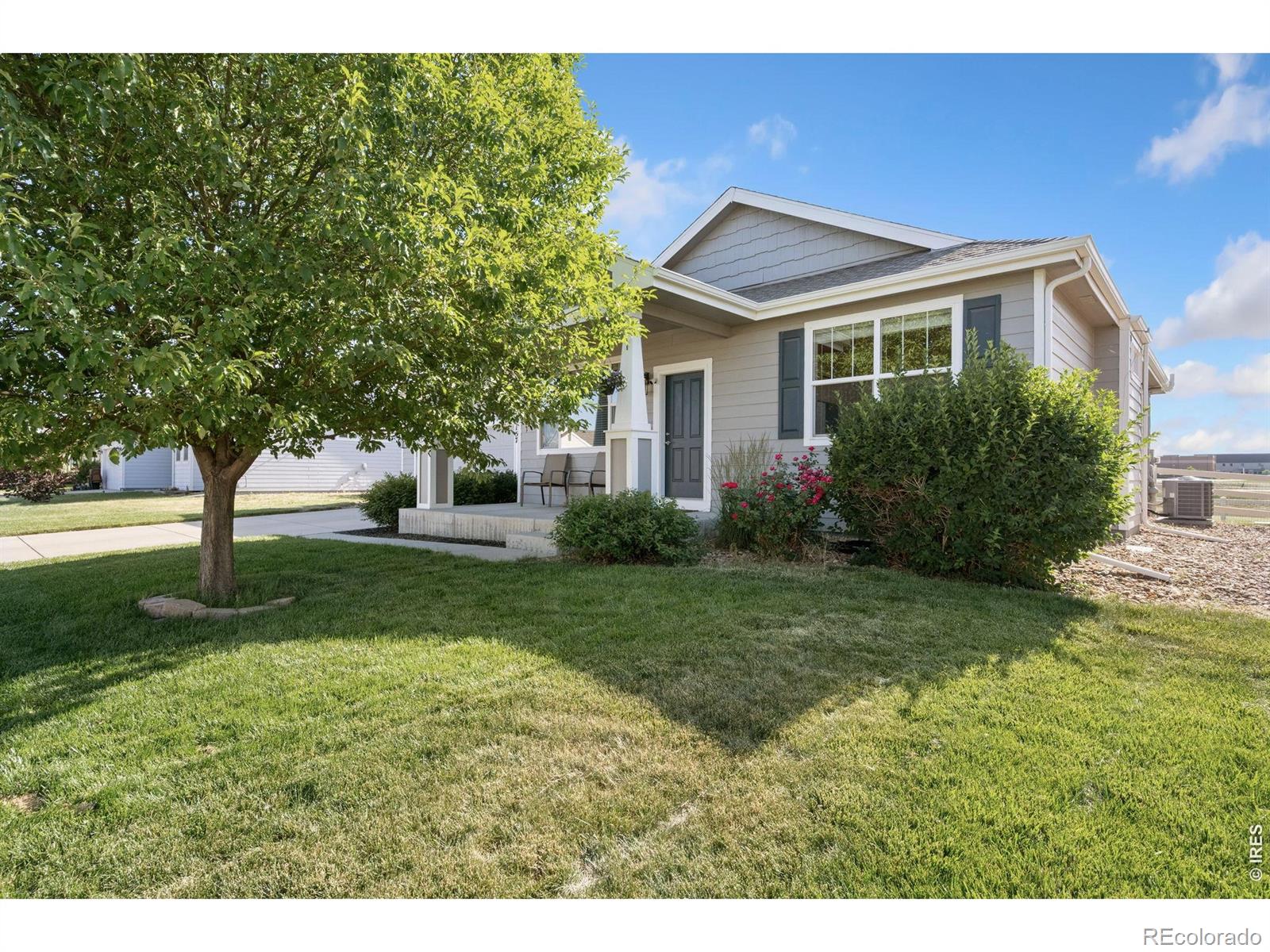 MLS Image #2 for 157  naples street,firestone, Colorado