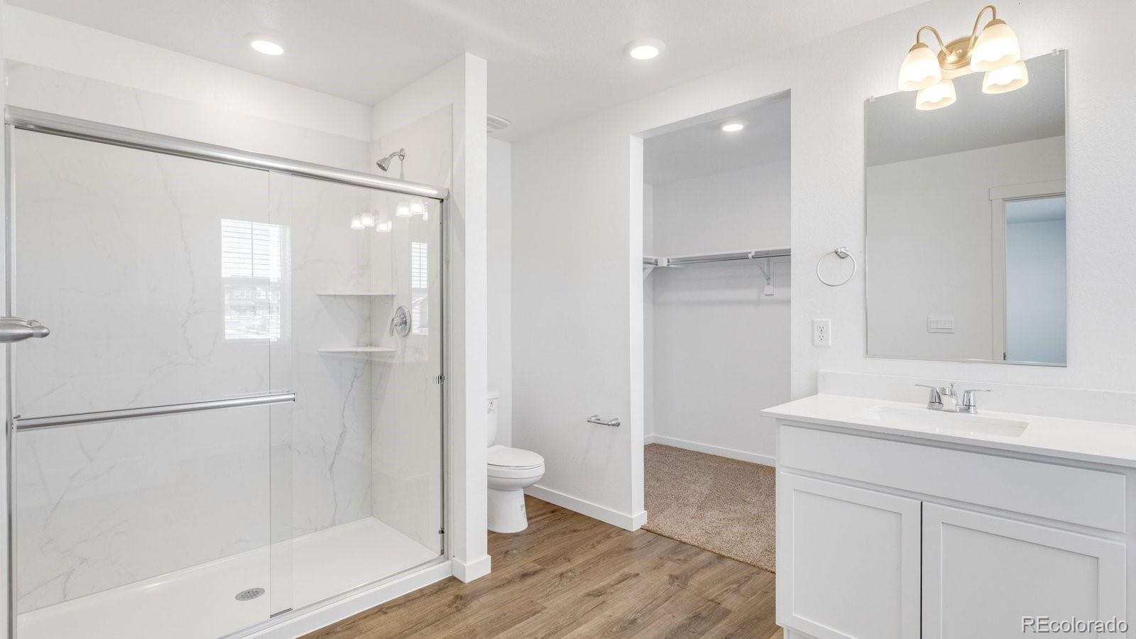 MLS Image #10 for 381 n bersshine street,watkins, Colorado