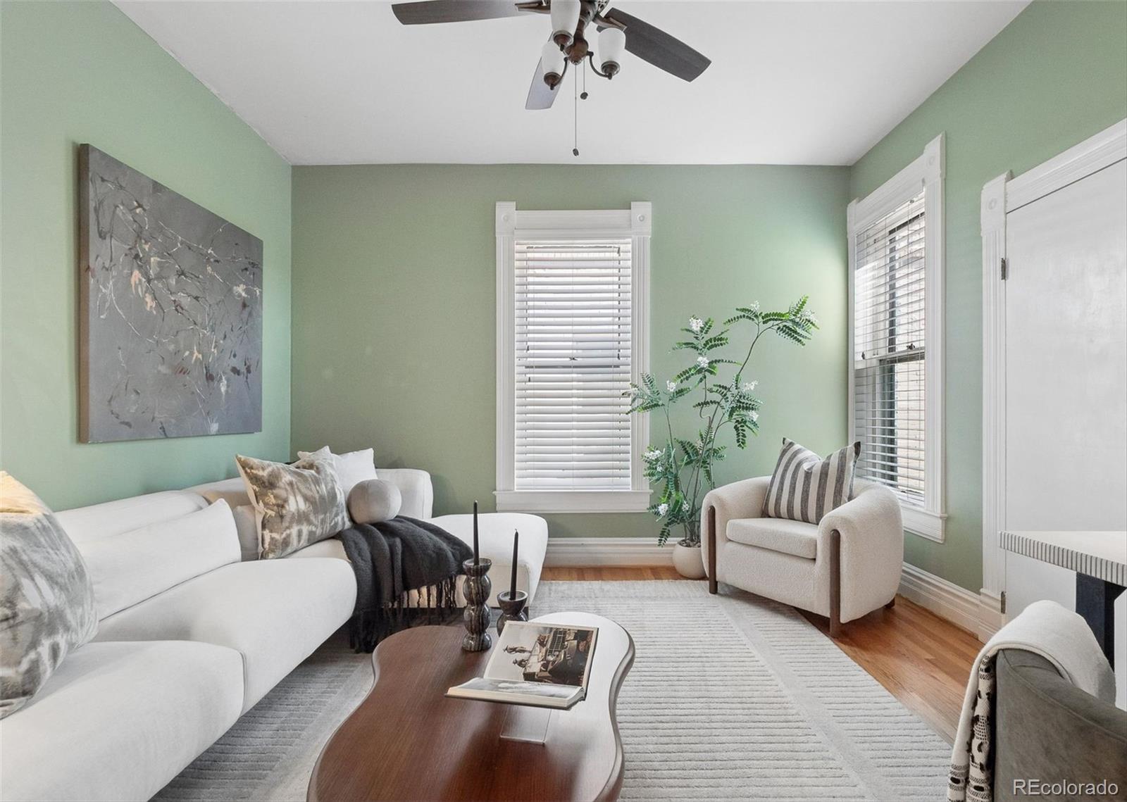 MLS Image #9 for 1157  elizabeth street,denver, Colorado