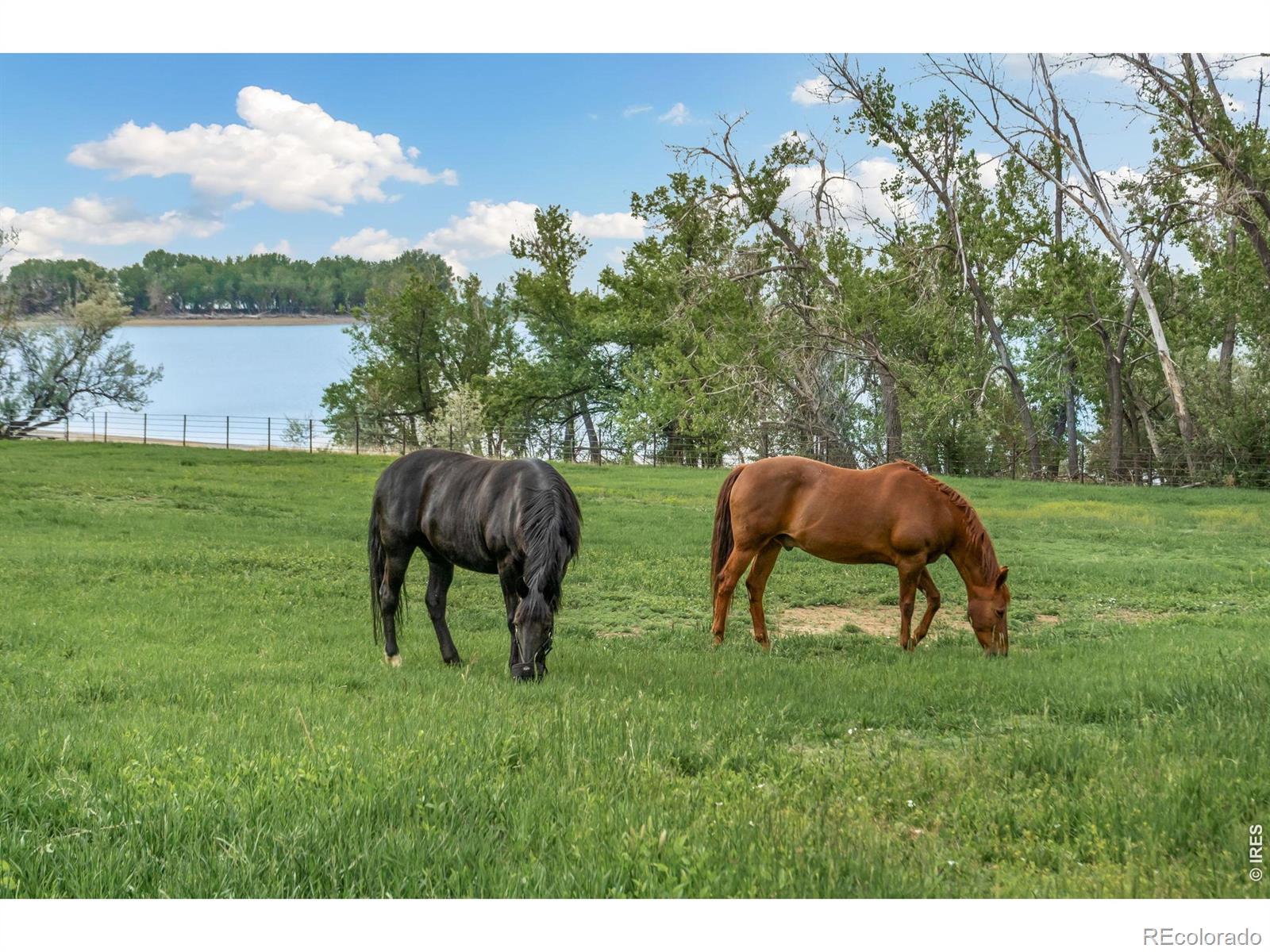 MLS Image #39 for 5632 n highway 1 ,fort collins, Colorado
