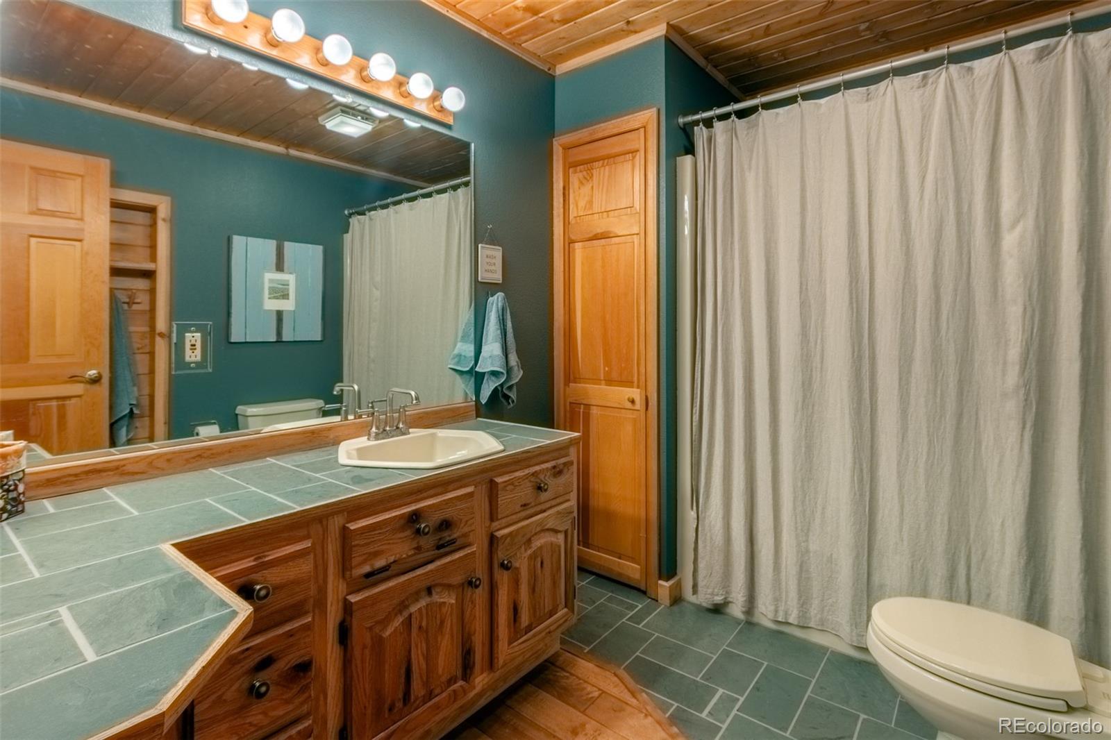 MLS Image #16 for 395  grand county road 6410 ,grand lake, Colorado