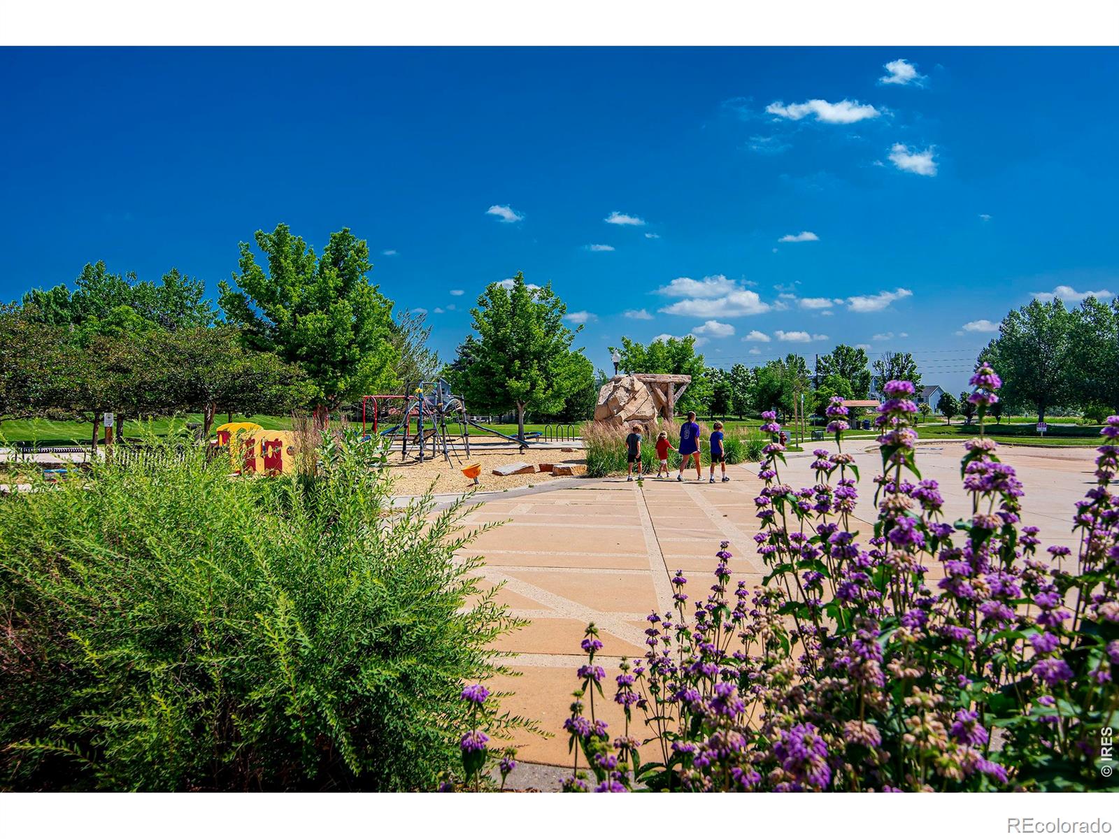 MLS Image #34 for 622  dahlia way,louisville, Colorado