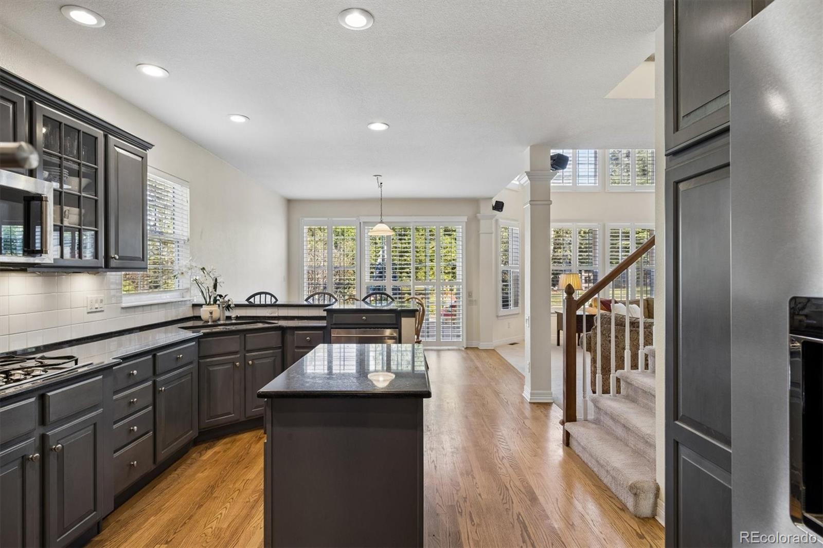 MLS Image #10 for 7484  norfolk place,castle pines, Colorado