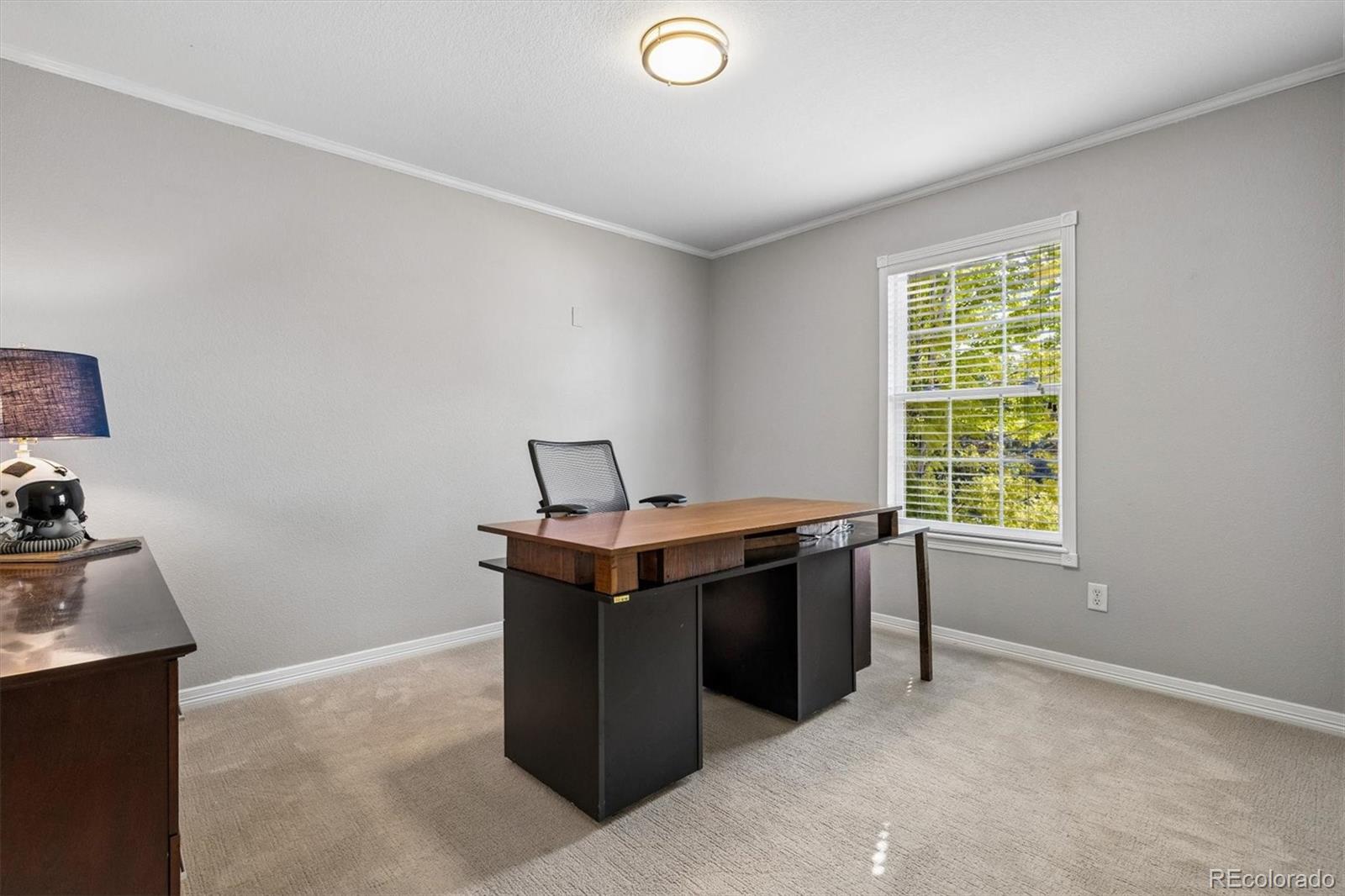 MLS Image #20 for 7484  norfolk place,castle pines, Colorado