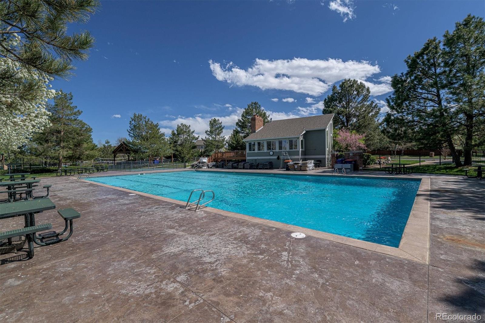MLS Image #43 for 7484  norfolk place,castle pines, Colorado