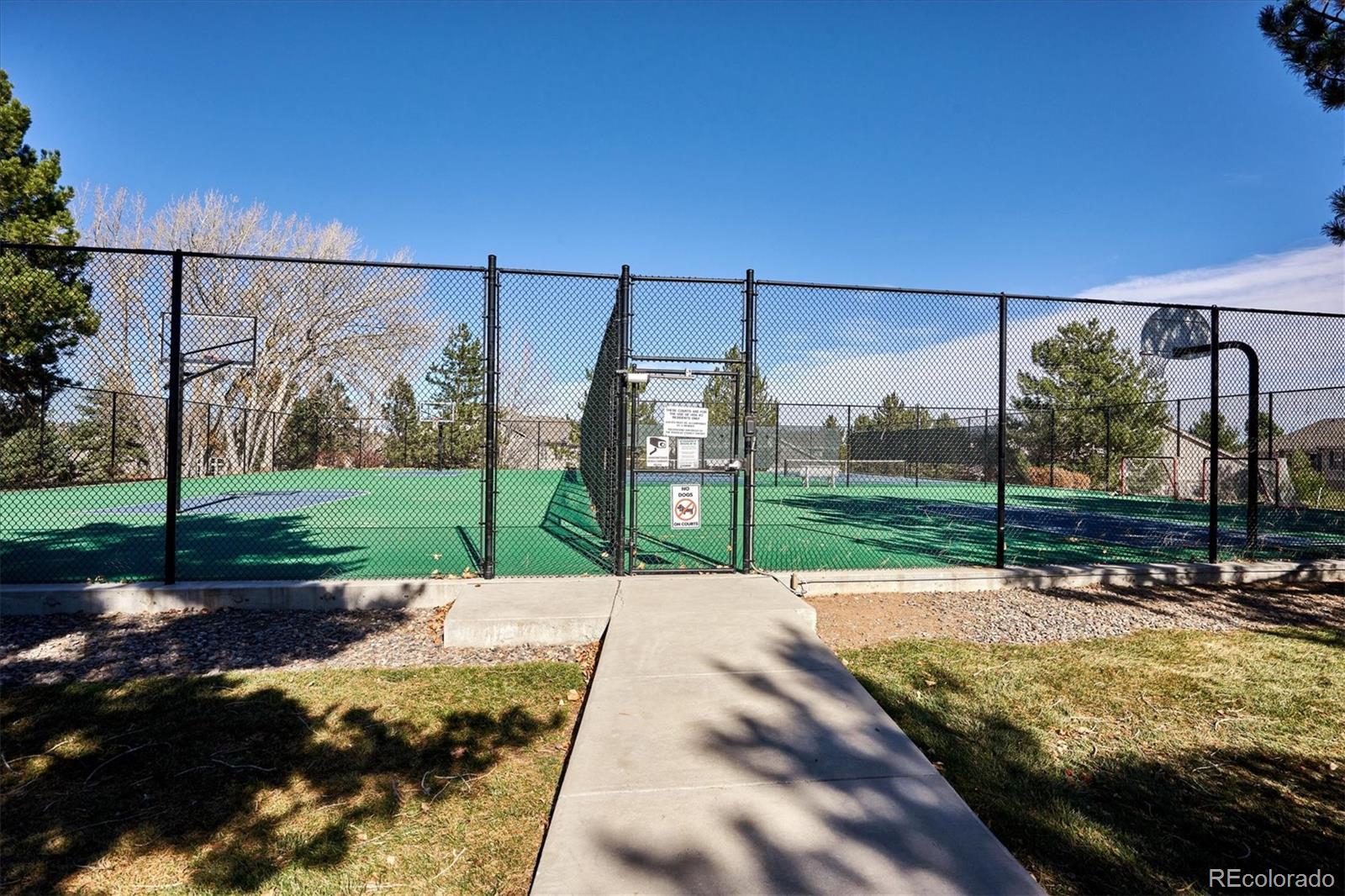MLS Image #45 for 7484  norfolk place,castle pines, Colorado
