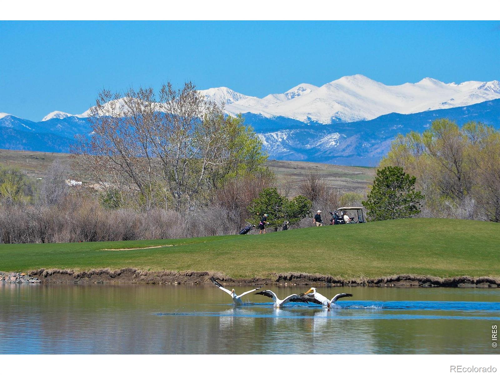 MLS Image #35 for 1755  barefoot drive,windsor, Colorado