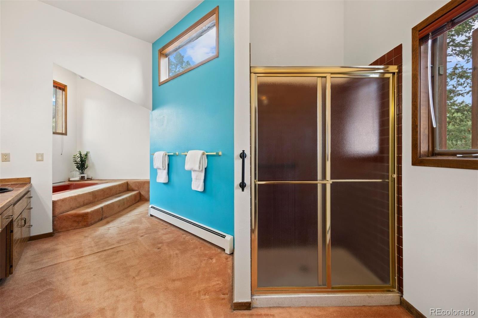 MLS Image #14 for 23595  currant drive,golden, Colorado