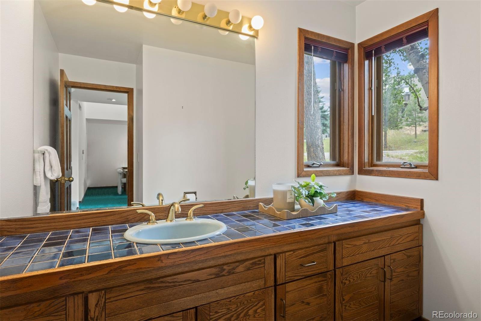 MLS Image #20 for 23595  currant drive,golden, Colorado