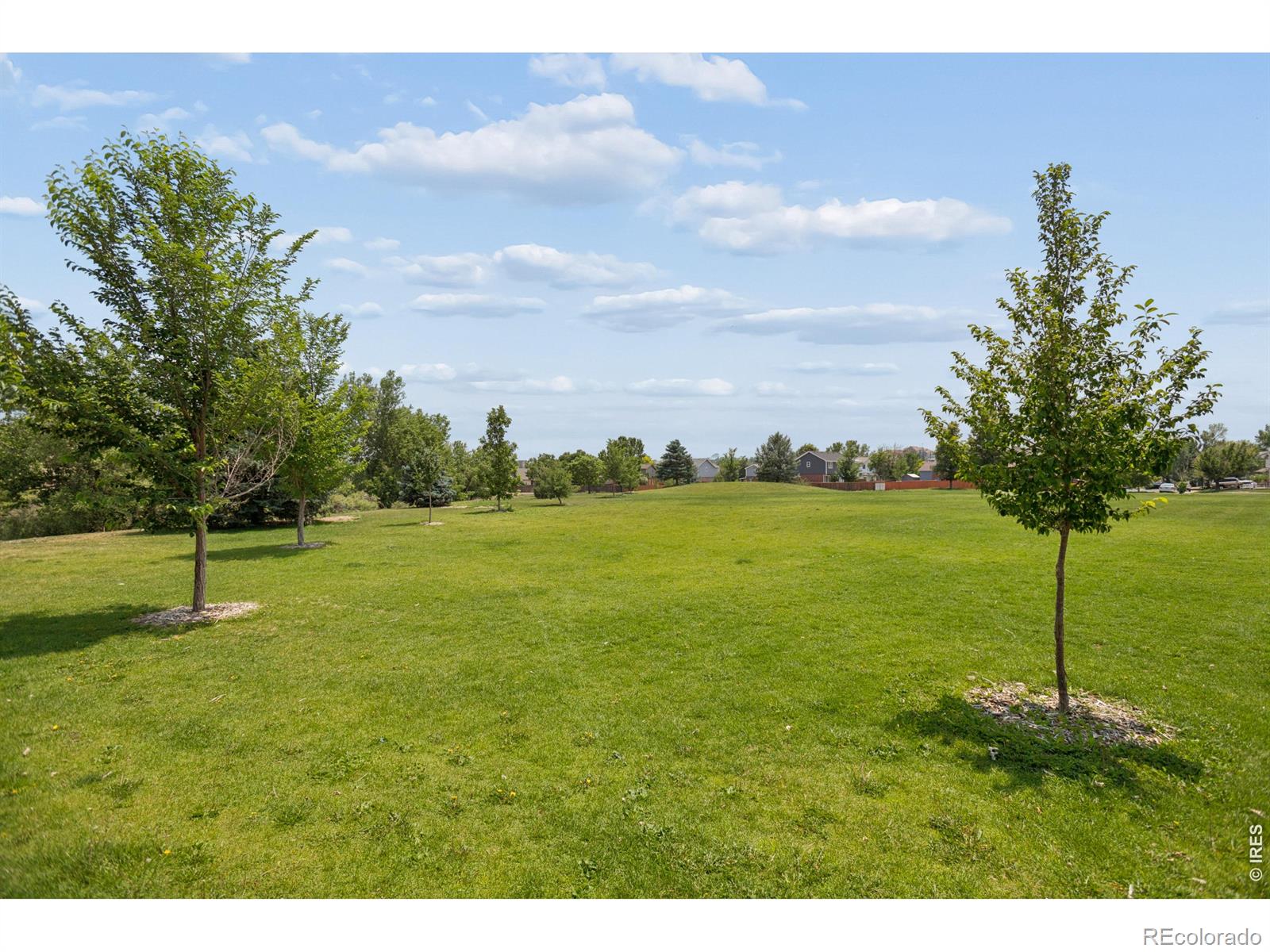 MLS Image #43 for 12582  dale court,broomfield, Colorado