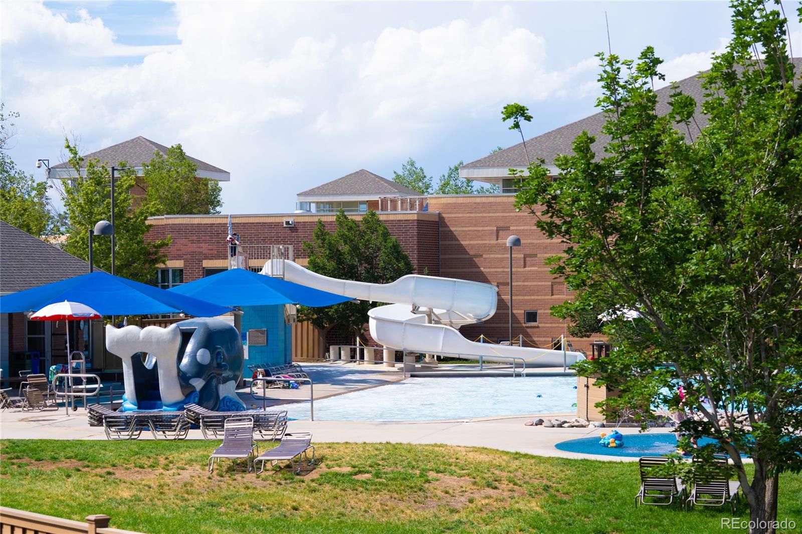 MLS Image #28 for 9688  whitecliff place,highlands ranch, Colorado