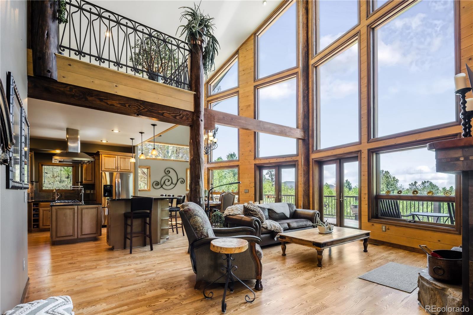 MLS Image #1 for 132  al gulch court,jefferson, Colorado