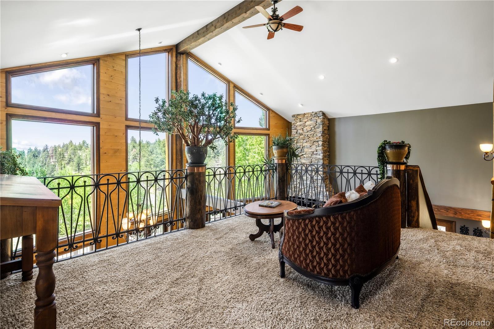 MLS Image #17 for 132  al gulch court,jefferson, Colorado