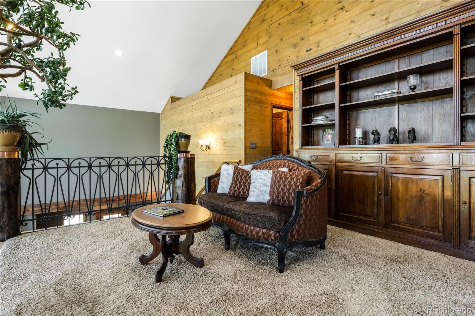 MLS Image #18 for 132  al gulch court,jefferson, Colorado