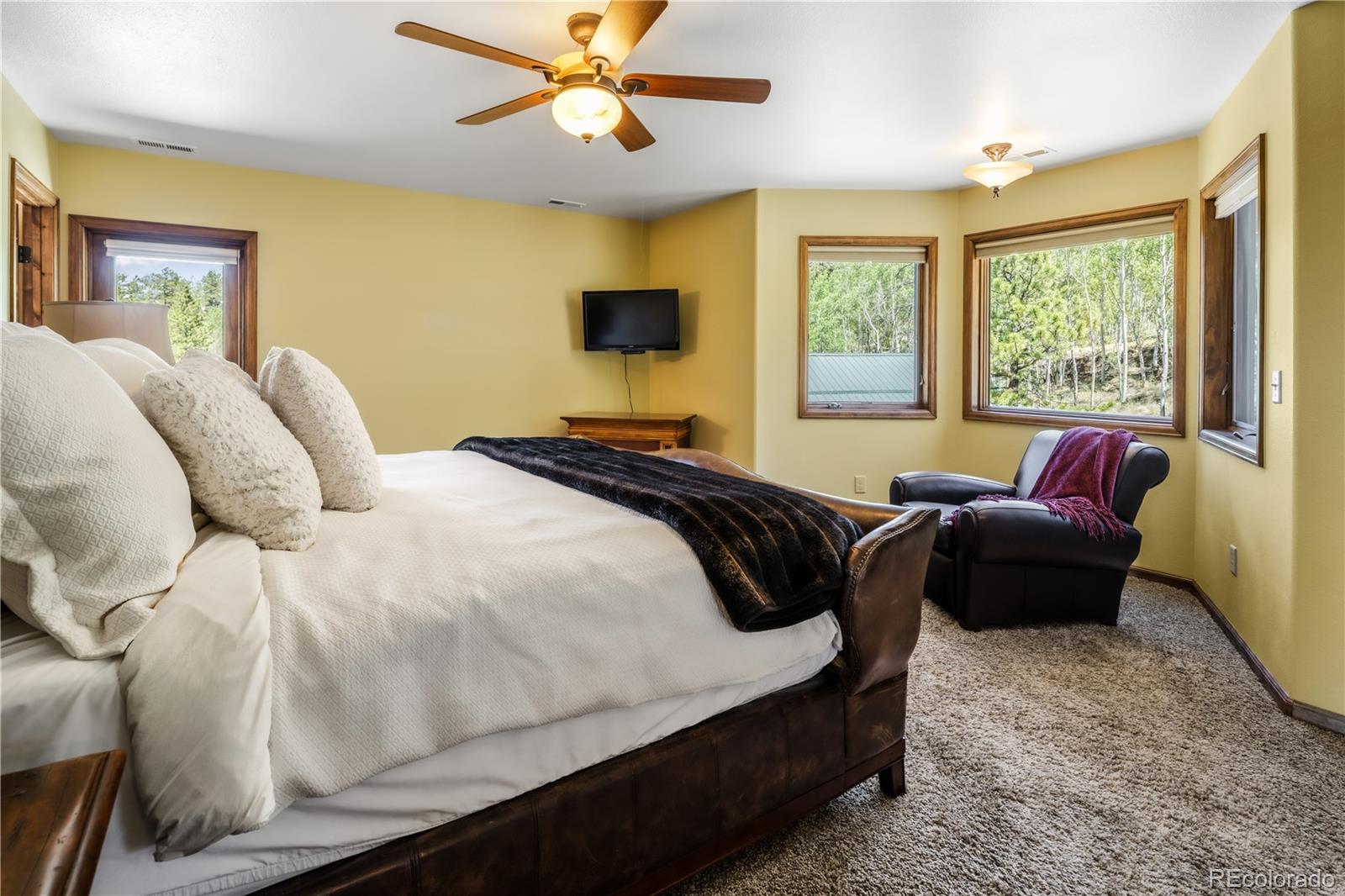 MLS Image #22 for 132  al gulch court,jefferson, Colorado