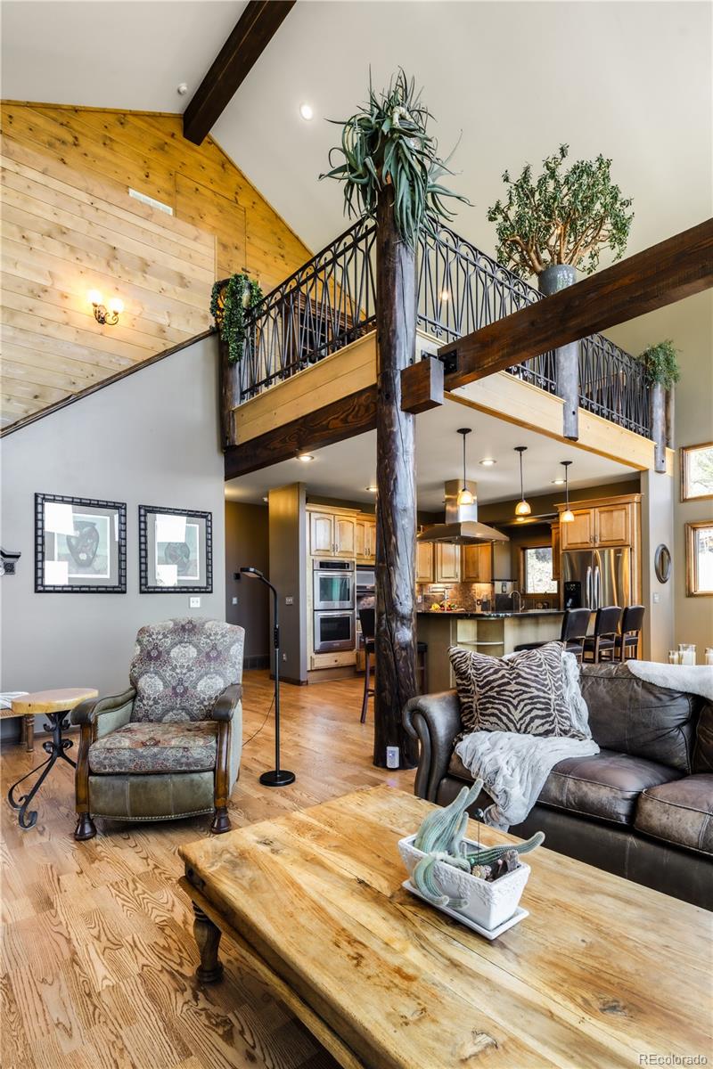 MLS Image #4 for 132  al gulch court,jefferson, Colorado