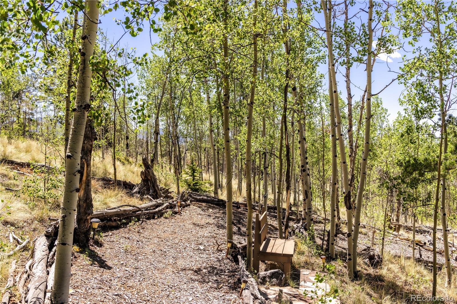 MLS Image #41 for 132  al gulch court,jefferson, Colorado