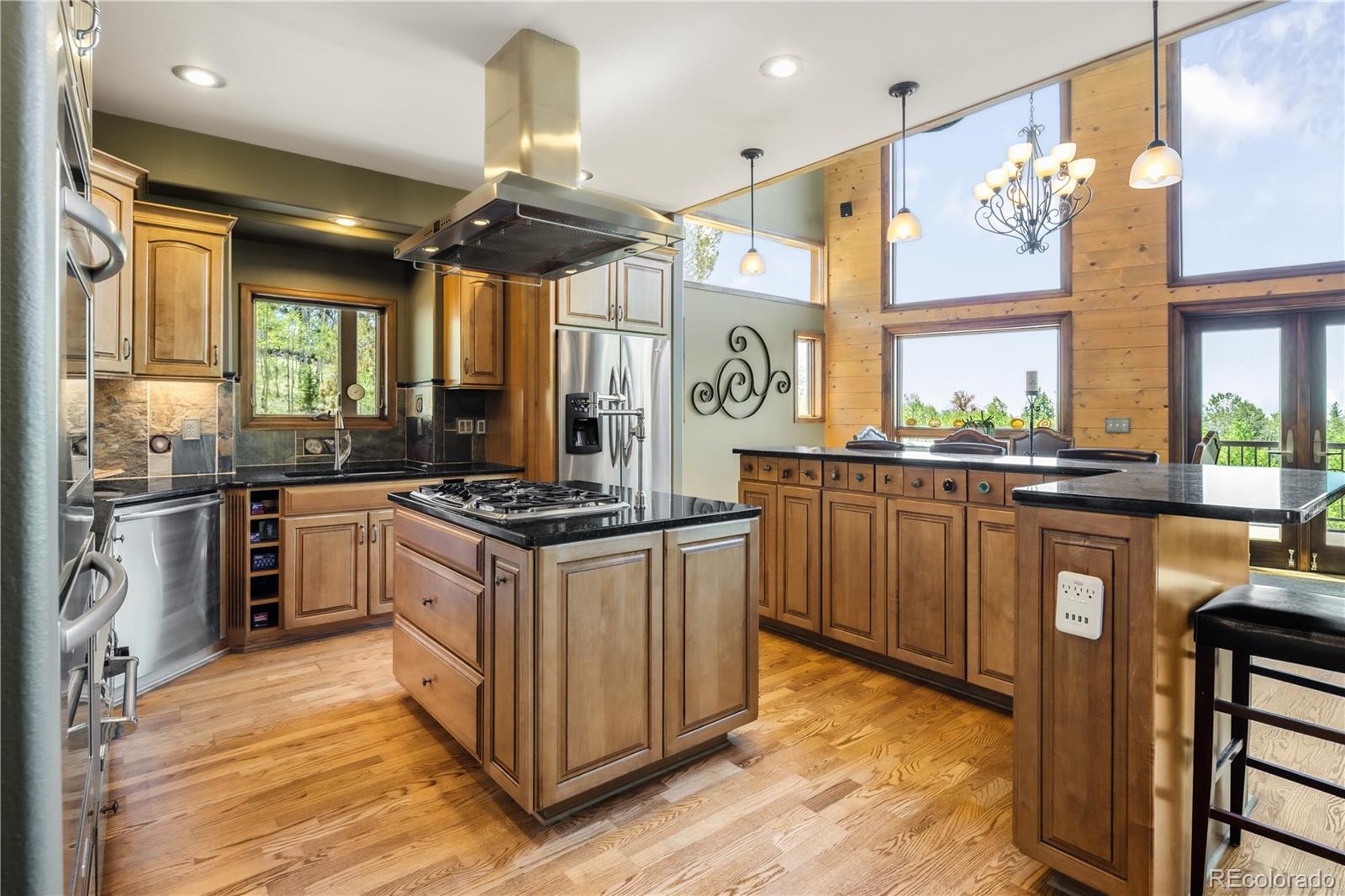 MLS Image #6 for 132  al gulch court,jefferson, Colorado