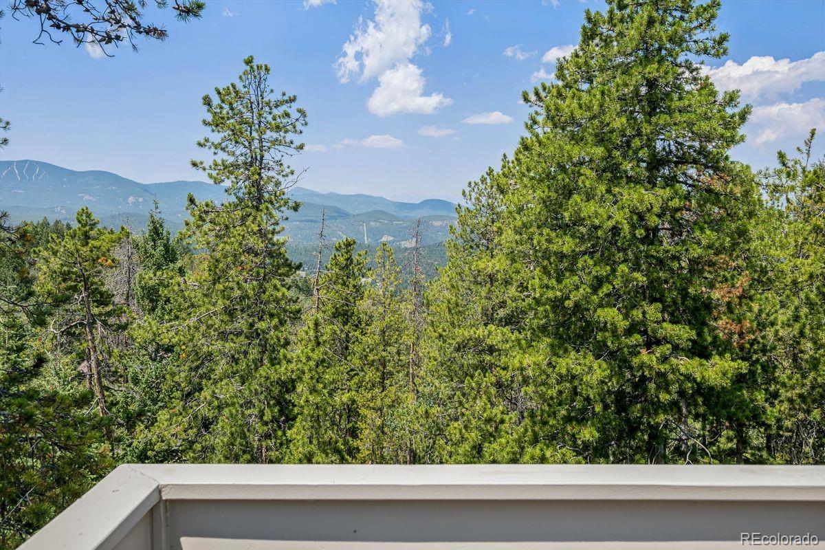 MLS Image #38 for 8354  armadillo trail,evergreen, Colorado