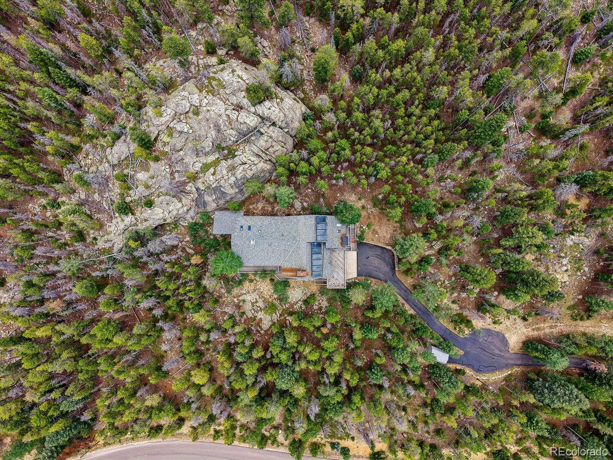 MLS Image #45 for 8354  armadillo trail,evergreen, Colorado