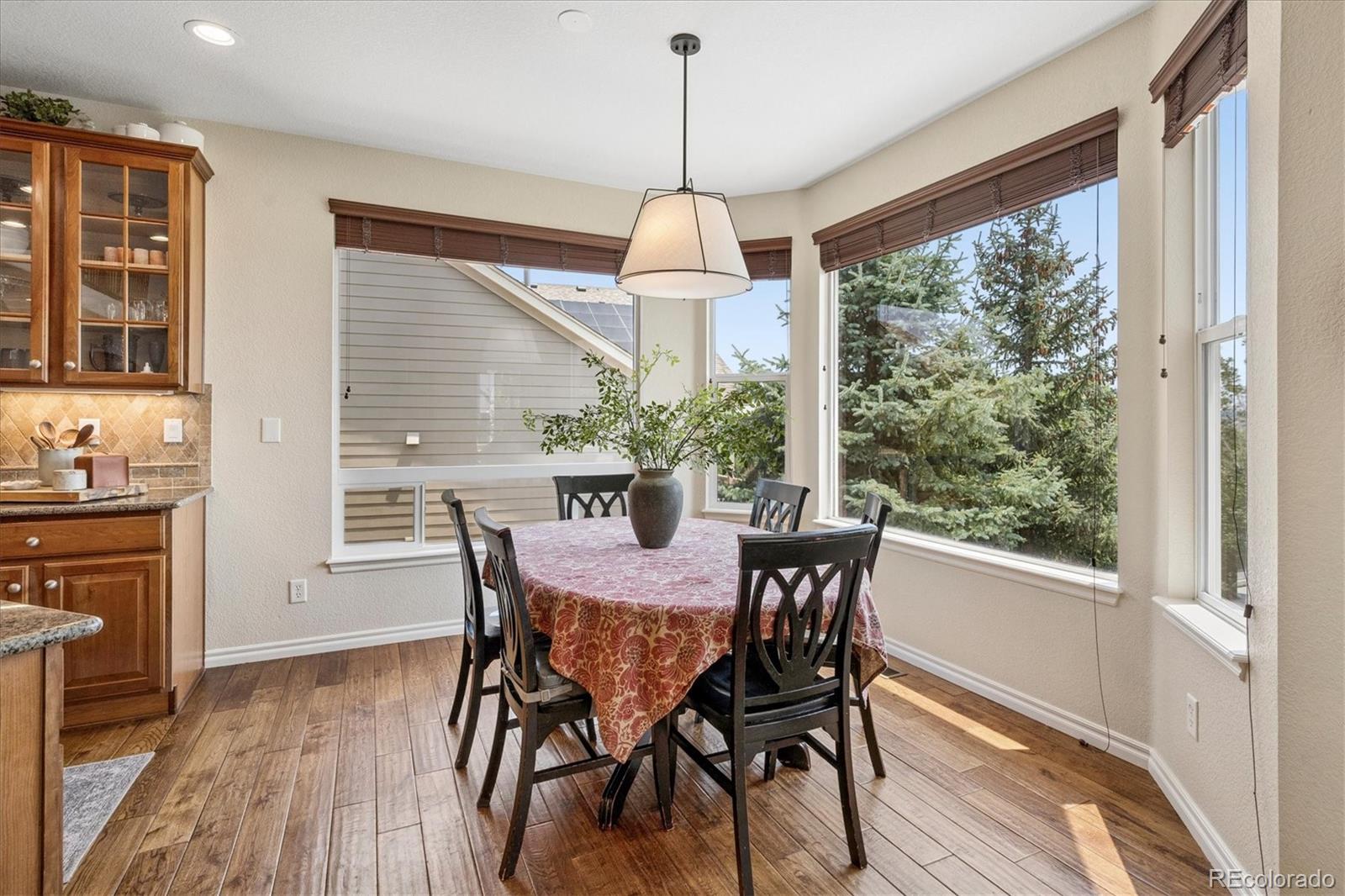 MLS Image #13 for 5509  sawdust loop,parker, Colorado