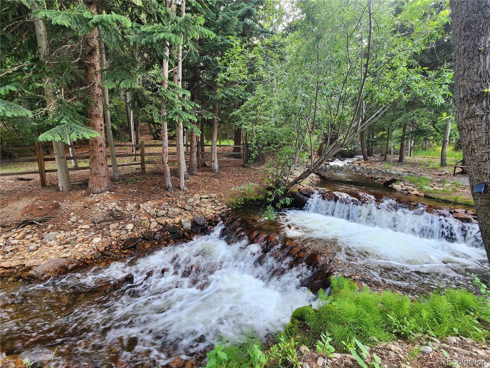 MLS Image #10 for 731  mill creek road,dumont, Colorado