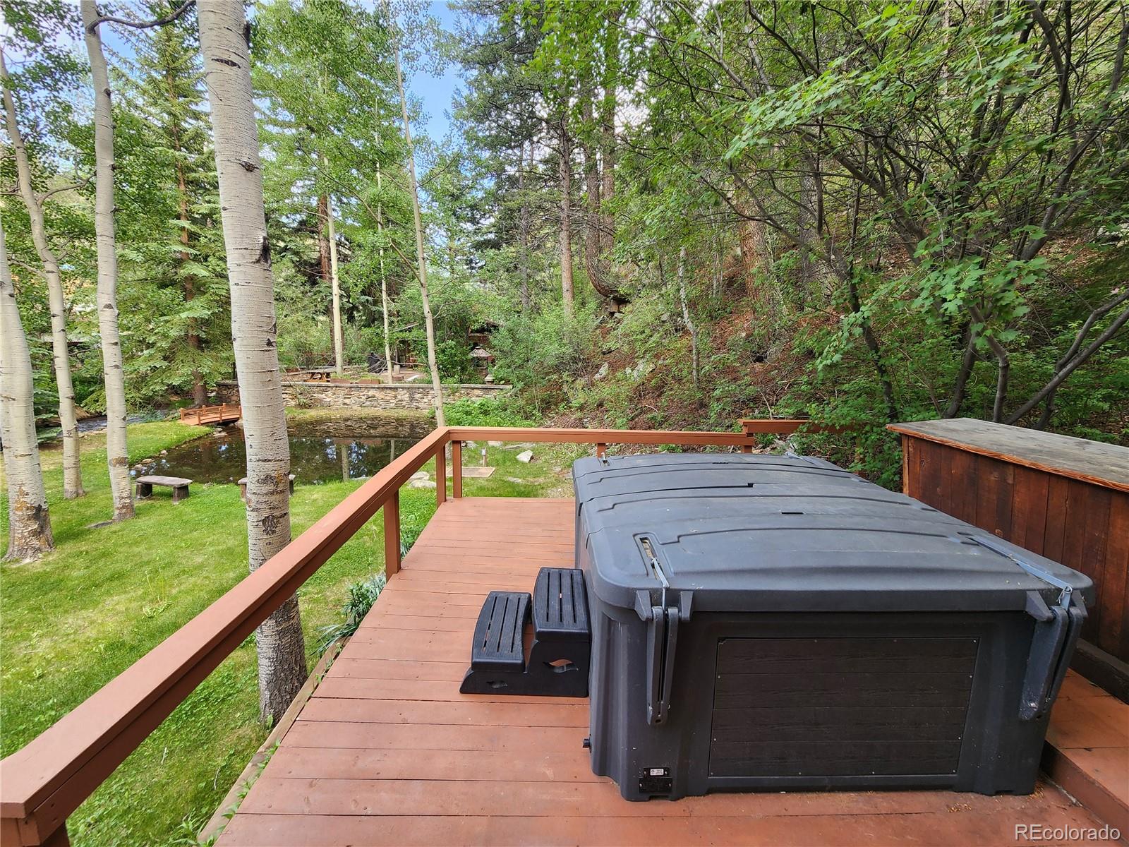 MLS Image #14 for 731  mill creek road,dumont, Colorado