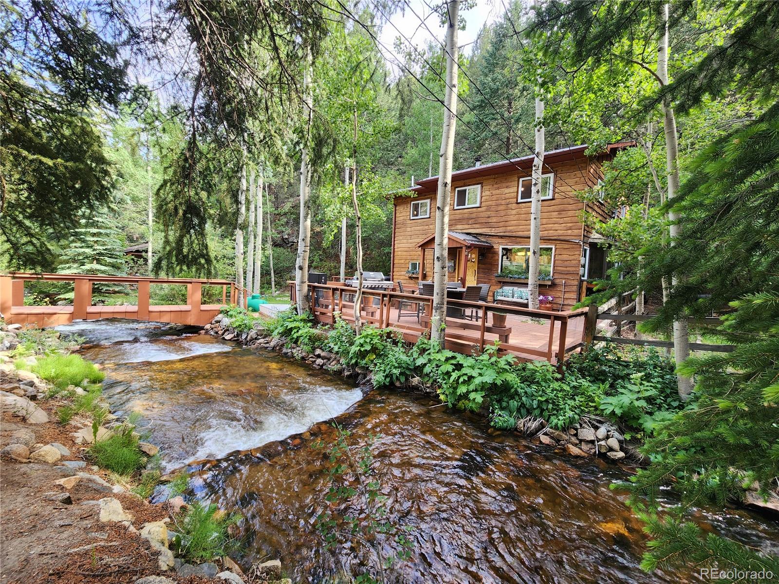 MLS Image #6 for 731  mill creek road,dumont, Colorado