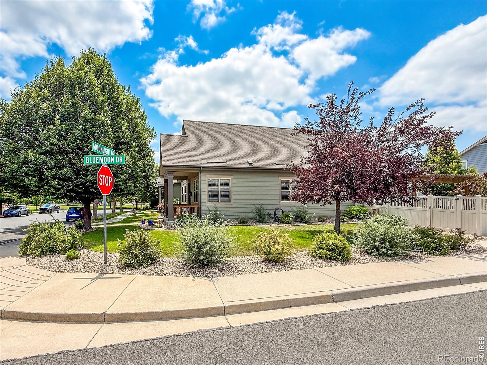 MLS Image #44 for 1441  moonlight drive,longmont, Colorado