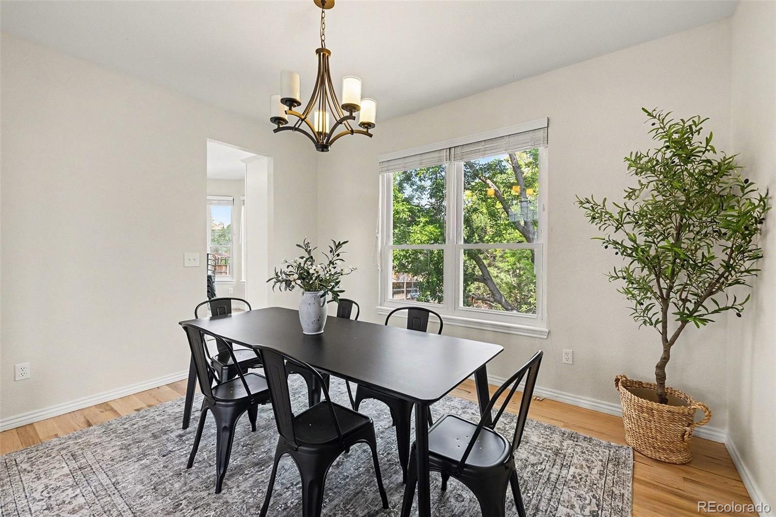 MLS Image #4 for 59  burgundy drive,highlands ranch, Colorado