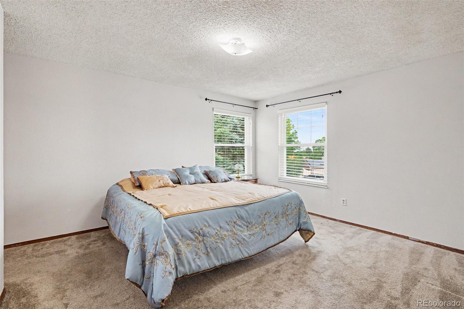 MLS Image #9 for 11283 w dorado avenue,littleton, Colorado