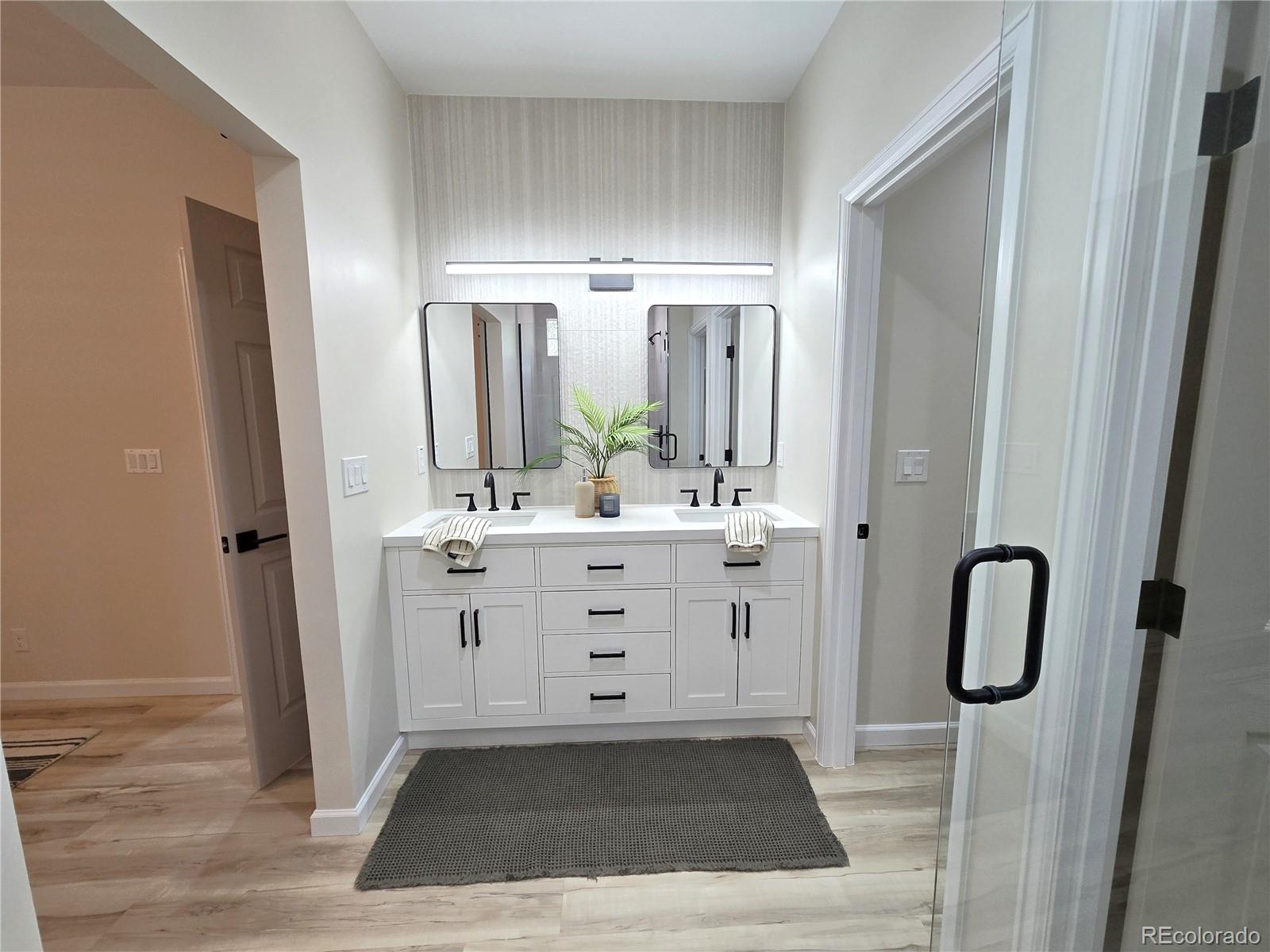 MLS Image #18 for 10078  apollo bay way,littleton, Colorado