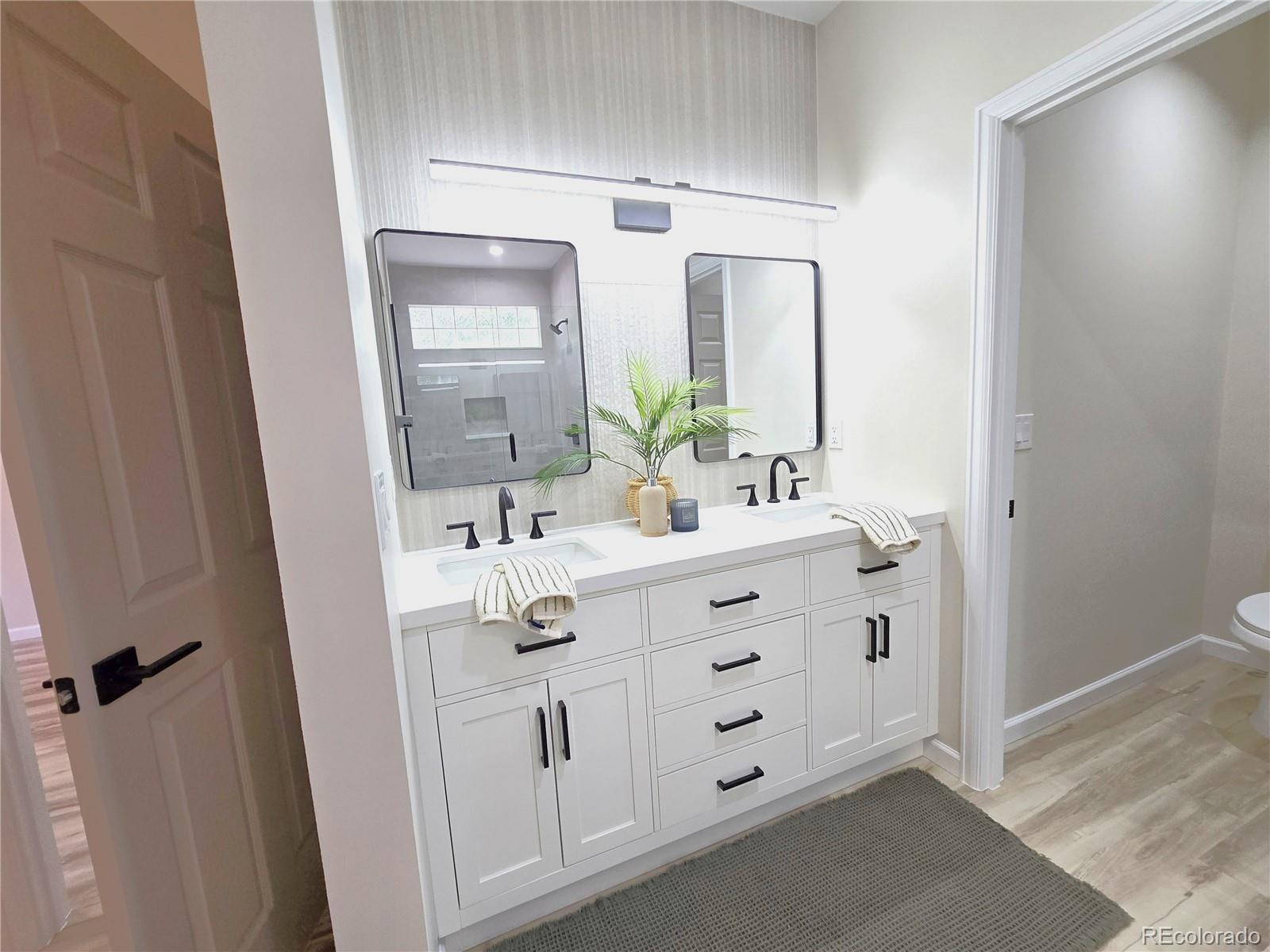 MLS Image #20 for 10078  apollo bay way,littleton, Colorado