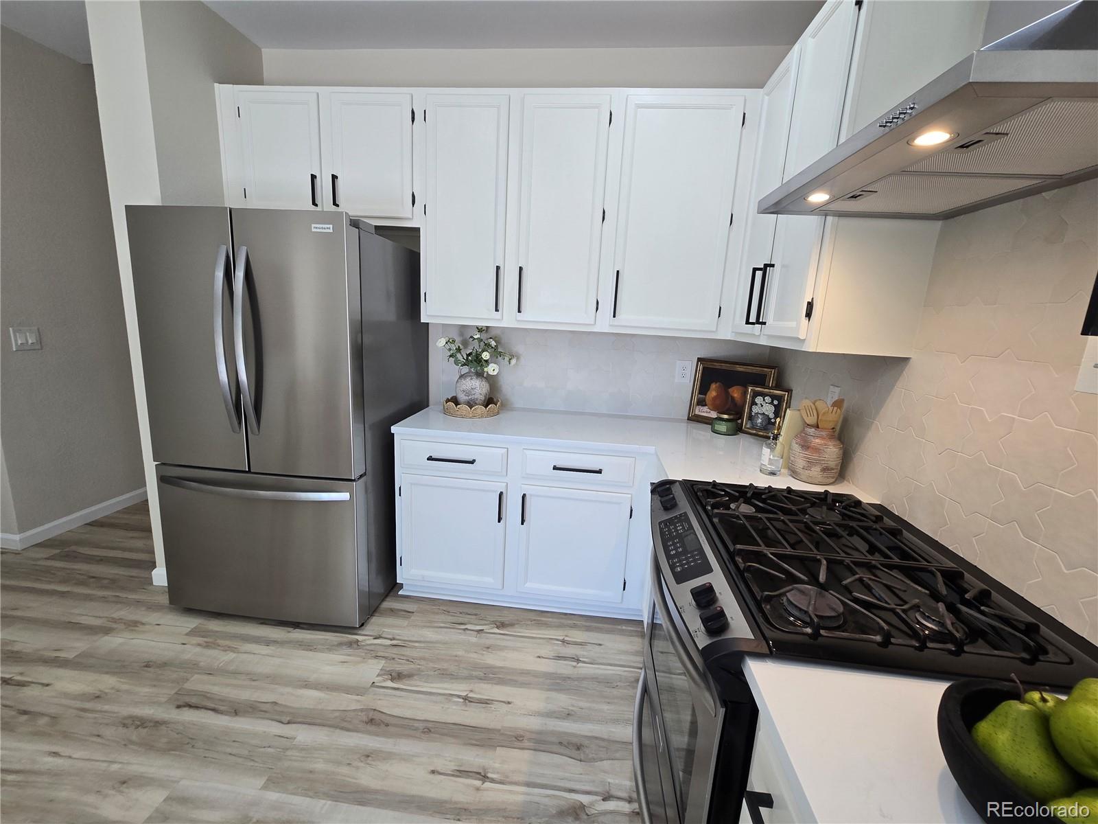 MLS Image #3 for 10078  apollo bay way,littleton, Colorado