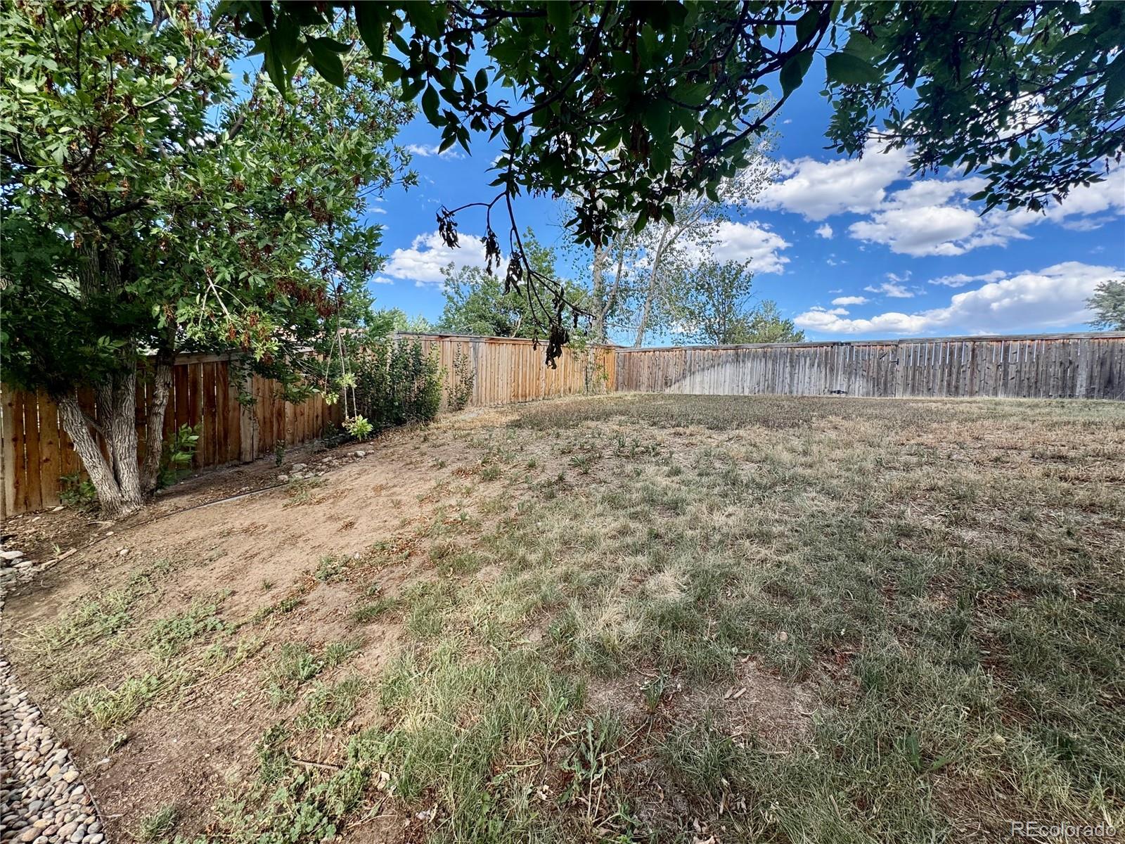 MLS Image #31 for 10078  apollo bay way,littleton, Colorado