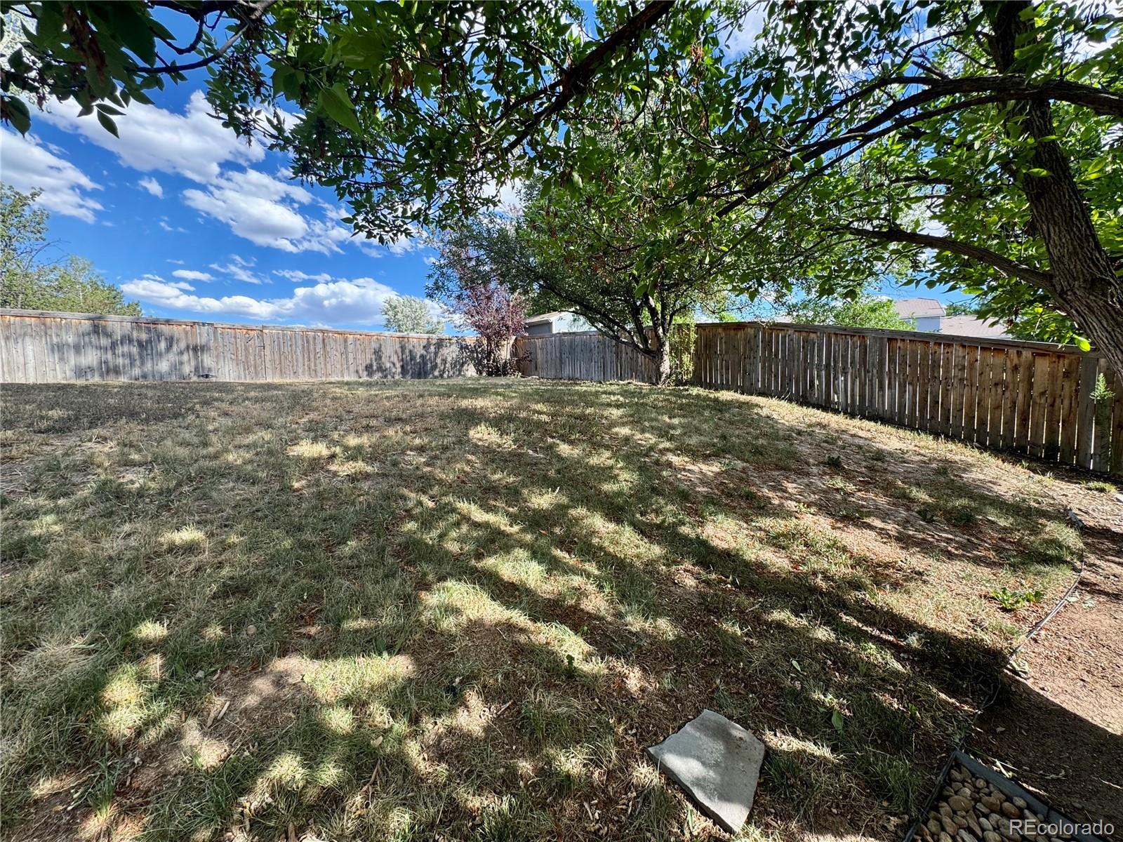 MLS Image #32 for 10078  apollo bay way,littleton, Colorado