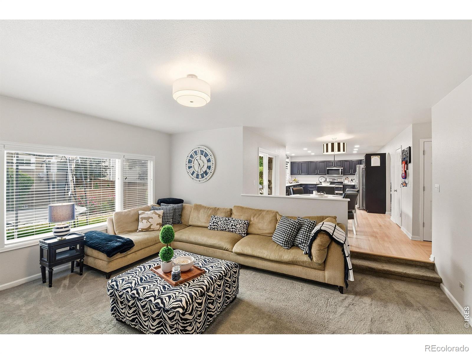 MLS Image #15 for 3004  ravenhill circle,highlands ranch, Colorado