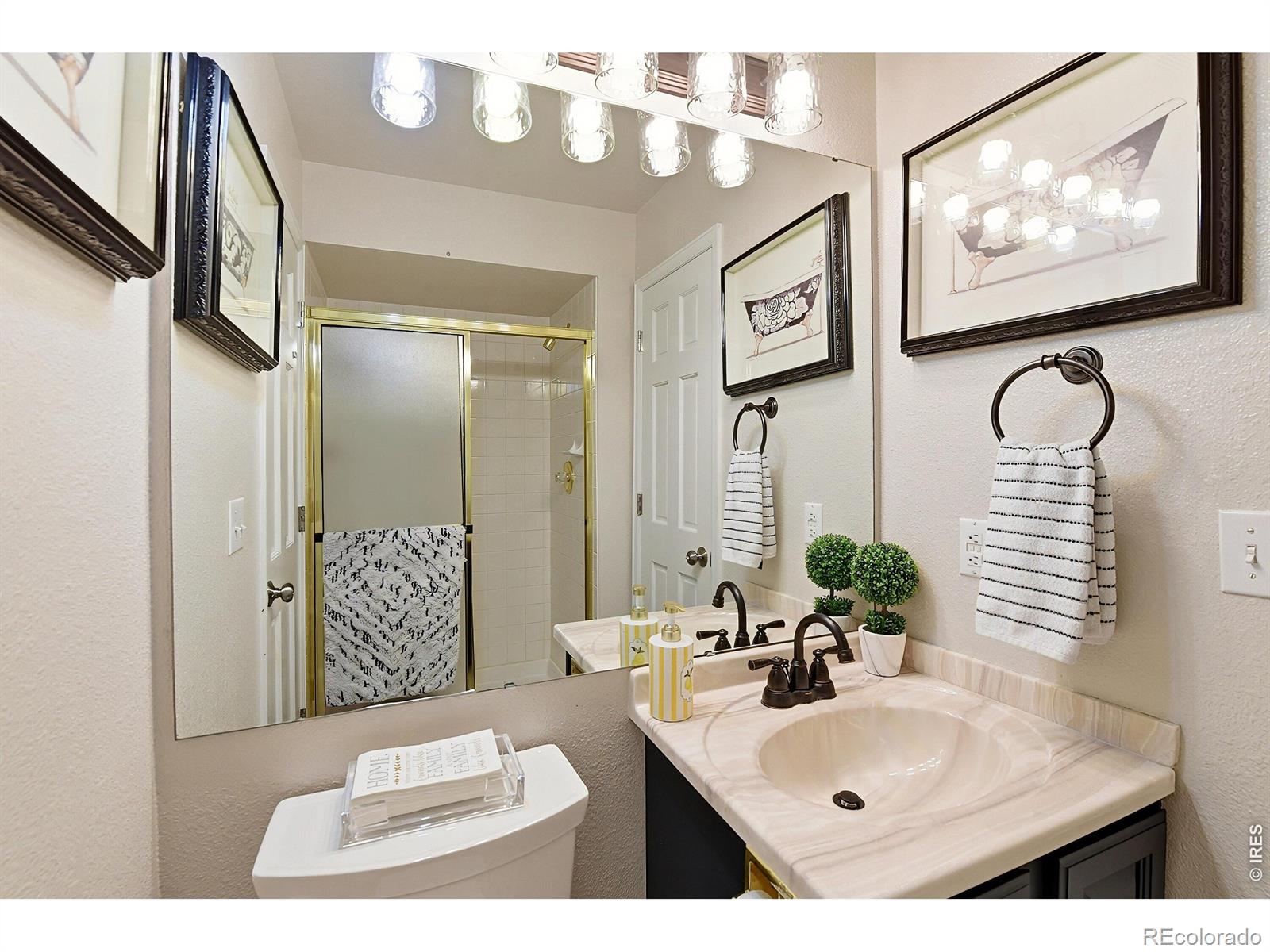 MLS Image #17 for 3004  ravenhill circle,highlands ranch, Colorado