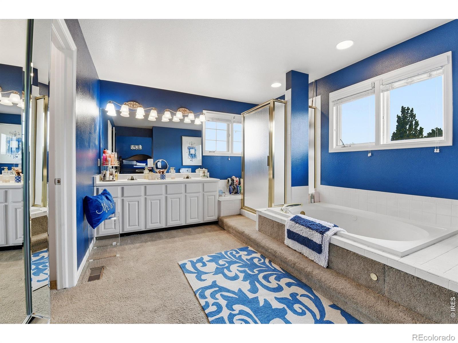 MLS Image #22 for 3004  ravenhill circle,highlands ranch, Colorado